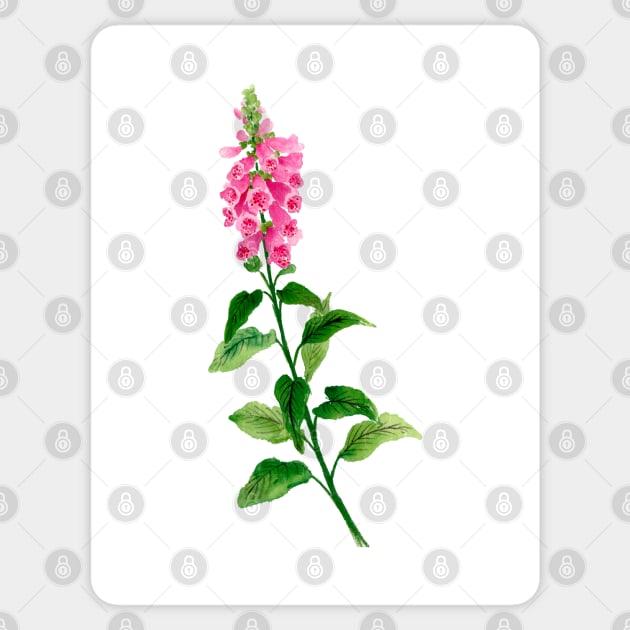 June 13th birthday flower Sticker by birthflower